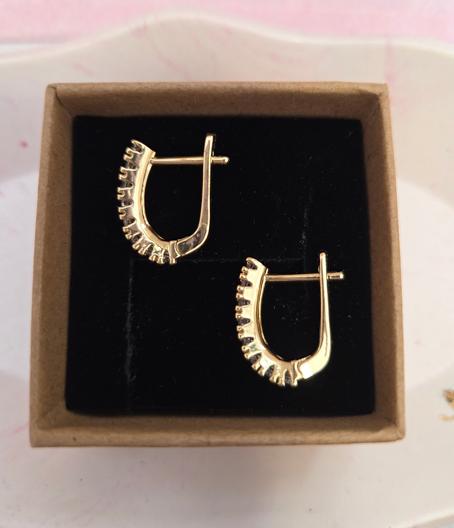 Paved Earrings