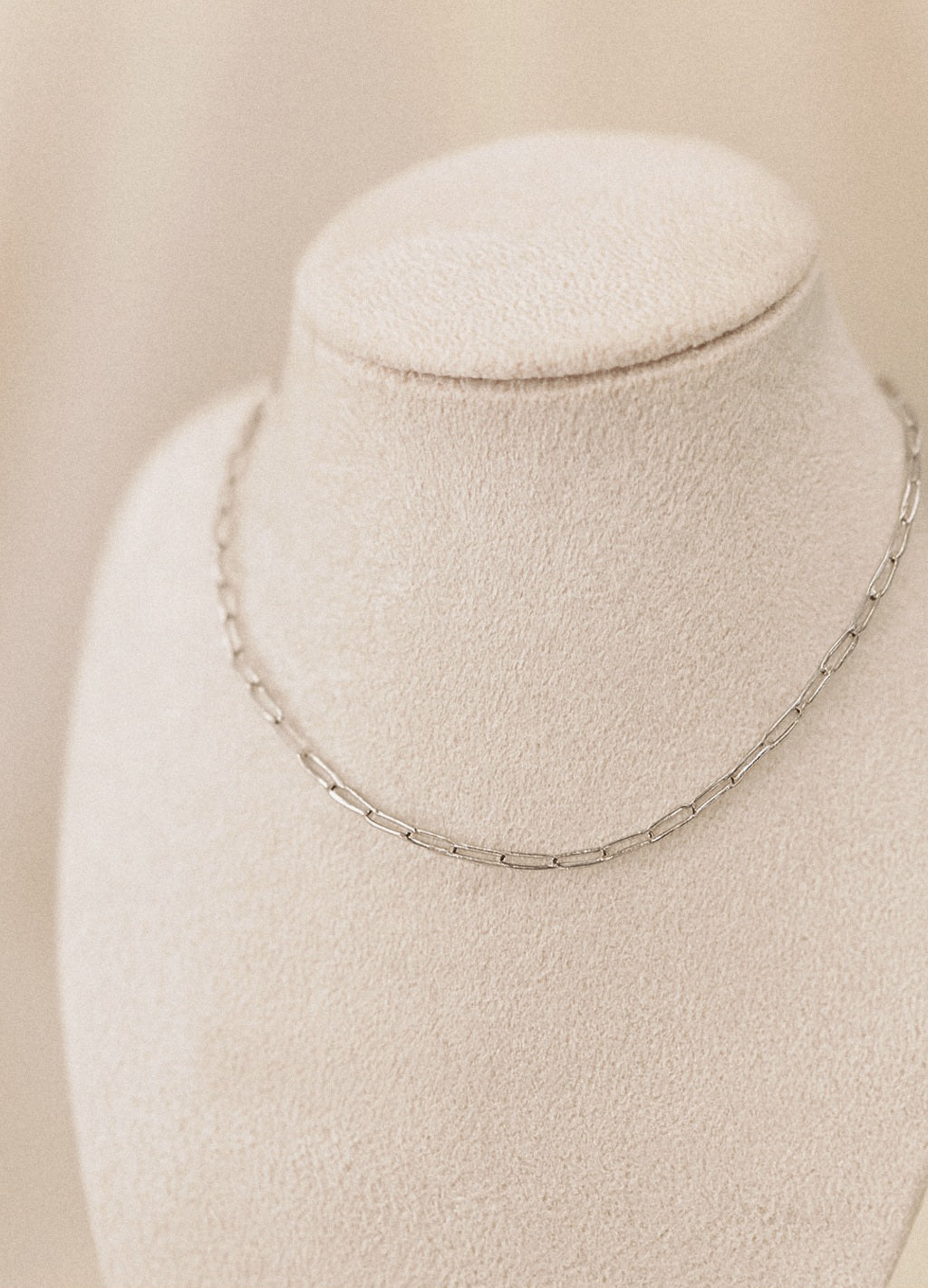 Petite Paperclip Necklace
