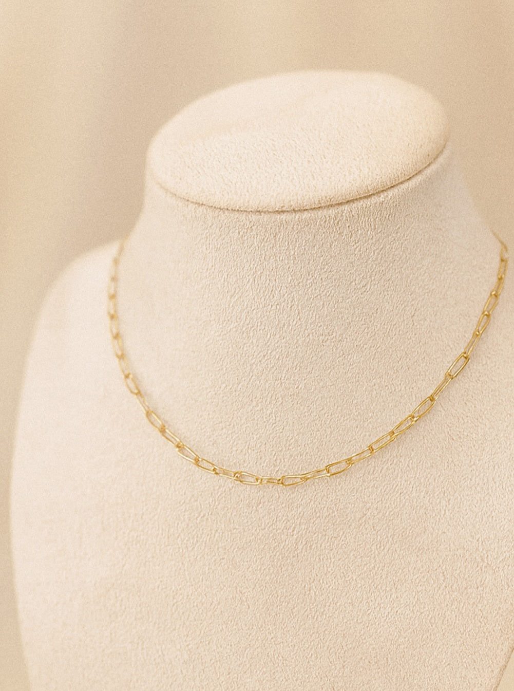 Petite Paperclip Necklace